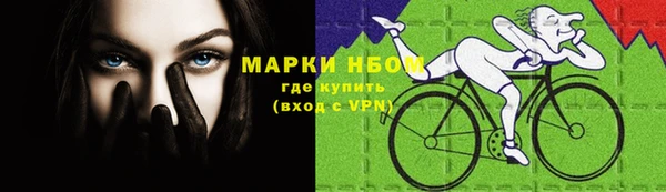 шишки Абинск