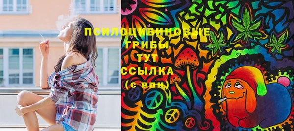 трава Абаза