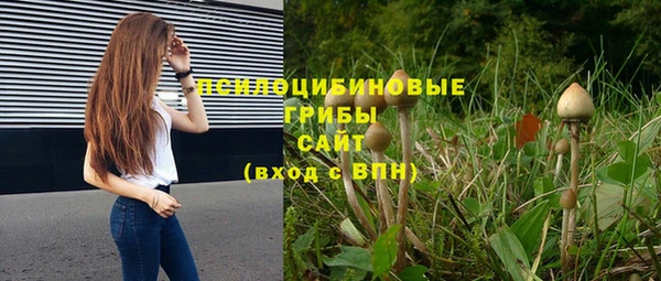 шишки Абинск