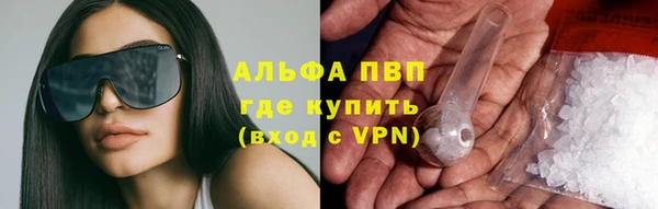 шишки Абинск
