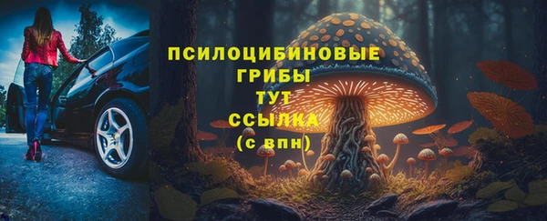 шишки Абинск
