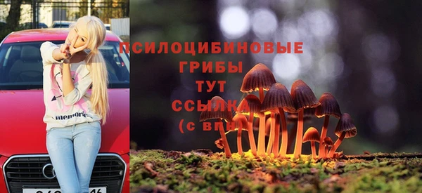 трава Абаза
