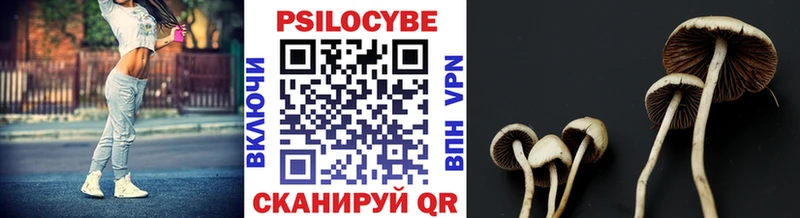 мега как войти  Спас-Клепики  Галлюциногенные грибы Psilocybe 